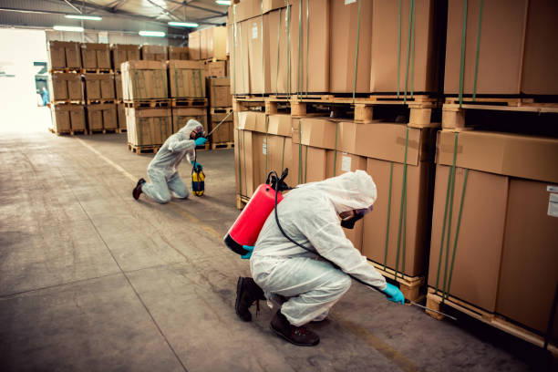 Best Wasp Removal Services  in Monticello, GA