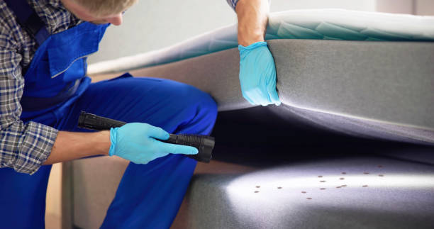 Best Residential Pest Control  in Monticello, GA