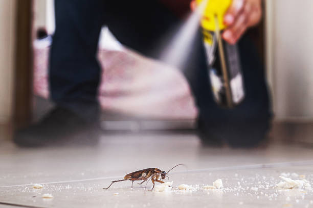 Best Rat Extermination Near Me  in Monticello, GA