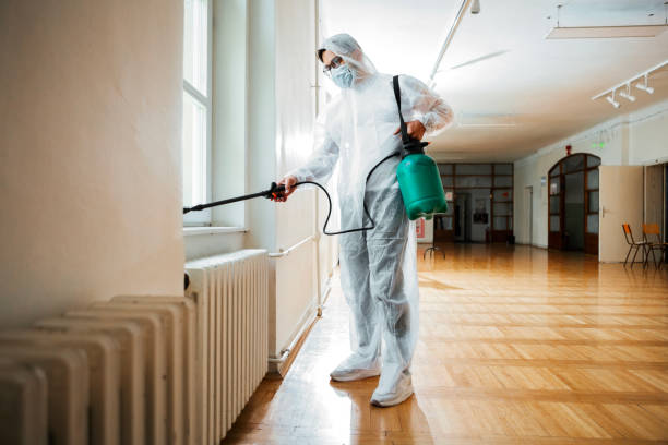 Best Wasp Removal Services  in Monticello, GA