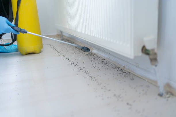 Best Pest Control Near Me  in Monticello, GA