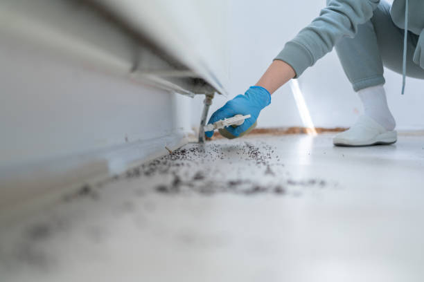 Best Affordable Pest Control Services  in Monticello, GA