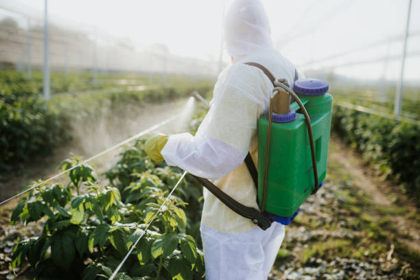 Insect Control in Monticello, GA